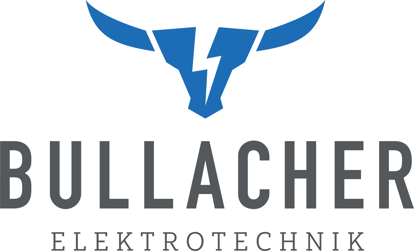Logo Bullacher Pantone ZW